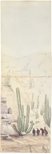 Cacti in Deep Quebrada, 1863 (pencil on paper) Cacti in Deep Quebrada, 1863 (pencil on paper)