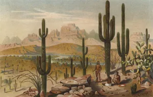 Cacti in the mountains of Utah, USA (colour litho) Cacti in the mountains of Utah, USA (colour litho)