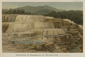 Calcareous sinter terraces at Mammoth Hot Springs in Yellowstone National Park, Wyoming (colour litho) Calcareous sinter terraces at Mammoth Hot Springs in Yellowstone National Park, Wyoming (colour litho)