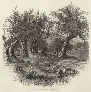 Campo de los Pastores en Bethlehem (engraving) Campo de los Pastores en Bethlehem (engraving)