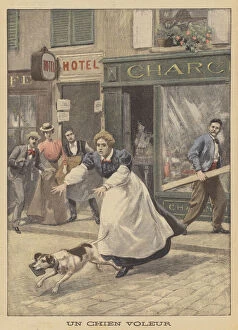 A canine thief (colour litho)