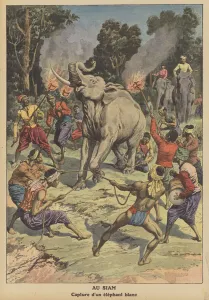 Capture of a white elephant in Siam (colour litho) Capture of a white elephant in Siam (colour litho)