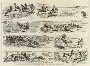 Capturing Wild Horses on the Laramie Plains, North Western America (engraving)