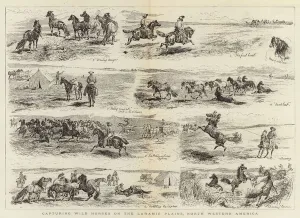 Capturing Wild Horses on the Laramie Plains, North Western America (engraving) Capturing Wild Horses on the Laramie Plains, North Western America (engraving)