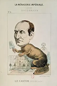 Caricature of Baron Georges Eugene Haussmann (1809-91) as a Beaver, from La Caricature of Baron Georges Eugene Haussmann (1809-91) as a Beaver, from La