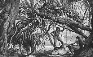 Caripuna Indians with tapir, from The Amazon and Madeira Rivers, by Franz Keller Caripuna Indians with tapir, from The Amazon and Madeira Rivers, by Franz Keller
