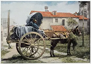 A carter carrying his wine. Rome, Italy, late 19th century A carter carrying his wine. Rome, Italy, late 19th century