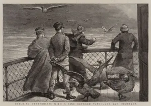Catching Albatrosses with a Line between Vancouver and Yokohama (engraving) Catching Albatrosses with a Line between Vancouver and Yokohama (engraving)