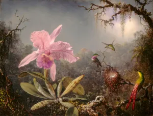 Cattleya Orchid and Three Hummingbirds, 1871 (oil on wood) Cattleya Orchid and Three Hummingbirds, 1871 (oil on wood)