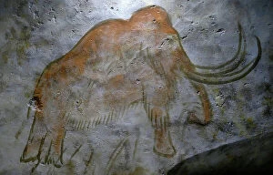 Cave Painting Collection: Cave paintings found in the Cave of Altamira (mural)