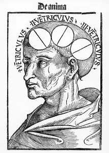Cavities of the Brain, from Philosophia Naturalis by Albertus Magnus Cavities of the Brain, from Philosophia Naturalis by Albertus Magnus