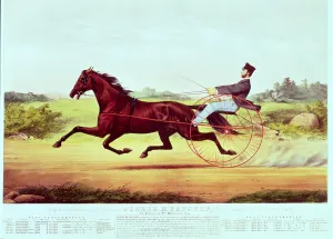 The Celebrated Horse, George M. Patchen, The Champion of the Turf The Celebrated Horse, George M. Patchen, The Champion of the Turf
