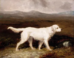 Charles Brett's White English Setter Sam in a Moorland Landscape Charles Brett's White English Setter Sam in a Moorland Landscape