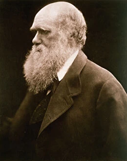 Charles Darwin, c.1870 (b / w photo)