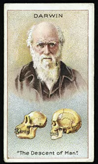 Charles Darwin, 'The Descent of Man', pub. 1924 (colour litho)