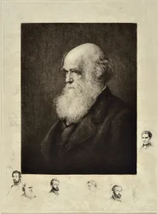 Charles Robert Darwin, 19th century (etching) Charles Robert Darwin, 19th century (etching)