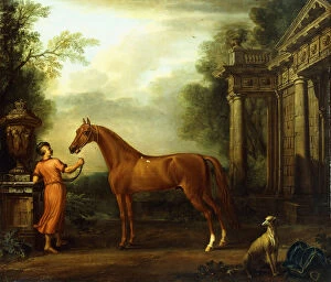 The Chestnut Arabian of Hampton Court, c.1726 (oil on canvas)