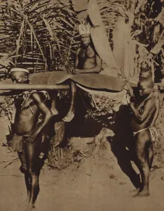 Chief of an African Pygmy tribe being carried on a litter (b/w photo) Chief of an African Pygmy tribe being carried on a litter (b/w photo)