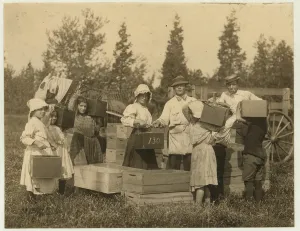 Children carrying their pecks of cranberries to the bushel man at Theodore Children carrying their pecks of cranberries to the bushel man at Theodore