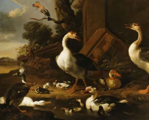 Chinese and Egyptian Geese and other birds in a Landscape with Ruins nearby Chinese and Egyptian Geese and other birds in a Landscape with Ruins nearby