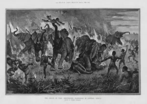 Panic Gallery: The circle of fire - destroying elephants in Central Africa (litho)