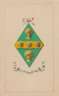 Coat of Arms; Wealth is the reward of industry (coloured engraving) Coat of Arms; Wealth is the reward of industry (coloured engraving)