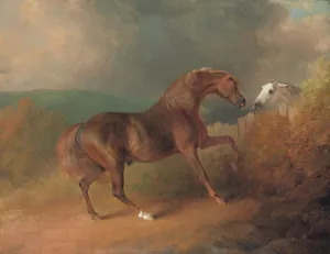 Colonel Thornton's Jupiter, by Eclipse out of a Mare by Tartar, by a Fence Colonel Thornton's Jupiter, by Eclipse out of a Mare by Tartar, by a Fence