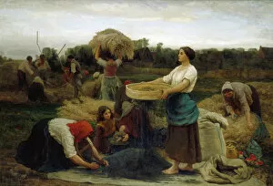 Images Dated 30th August 2012: The Colza (Harvesting Rapeseed), 1860 (oil on canvas)