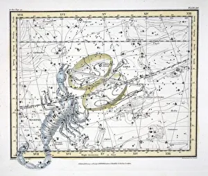 The Constellations (Plate XIX) Libra and Scorpio, from A Celestial Atlas' The Constellations (Plate XIX) Libra and Scorpio, from A Celestial Atlas'