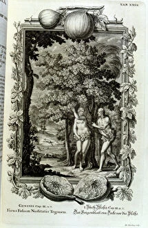 Alexandra Alexandrovna Exter Gallery: Copperplate engraving from Physica Sacra'by the Swiss scholar. Johann Jakob Scheuchzer