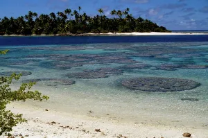 Coral formations, Maupiti island, French Polynesia (photo) Coral formations, Maupiti island, French Polynesia (photo)