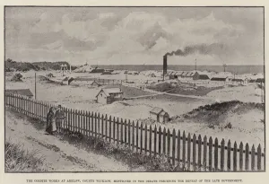 The Cordite Works at Arklow, County Wicklow, mentioned in the Debate preceding the Defeat The Cordite Works at Arklow, County Wicklow, mentioned in the Debate preceding the Defeat