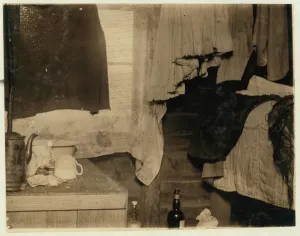 Corner of a shack used by pickers on Theodore Budds Bog, Turkeytown, near Pemberton Corner of a shack used by pickers on Theodore Budds Bog, Turkeytown, near Pemberton