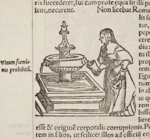 Cosmographia, detail of Fol 202, 1544 (engraving) Cosmographia, detail of Fol 202, 1544 (engraving)