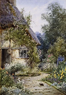 Images Dated 5th June 2012: A Cottage Garden with a Cat in the Foreground; and a Cottage Border in Summer