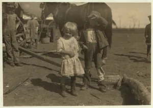 Cotton picker aged 4 who picks 15 pounds a day regularly and 7 year old who picks 50 Cotton picker aged 4 who picks 15 pounds a day regularly and 7 year old who picks 50