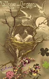 Couple embracing in a bird's nest (colour photo)