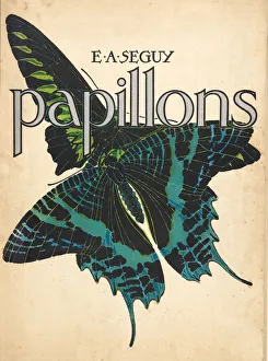 Front Cover from Papillons, pub. 1925 (pochoir print) Front Cover from Papillons, pub. 1925 (pochoir print)