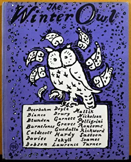 Cover of The Winter Owl, published by Cecil Palmer, London, 1923 (colour litho) (see also 109806)