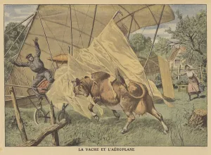 A cow attacking an aeroplane in the American Midwest (colour litho) A cow attacking an aeroplane in the American Midwest (colour litho)