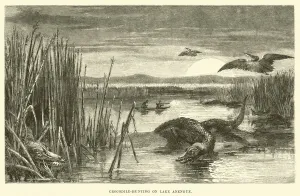 Crocodile-Hunting on Lake Anengue (engraving) Crocodile-Hunting on Lake Anengue (engraving)