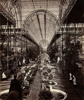 The Crystal Palace in London: the botanical section, 1870 (b / w photo)