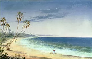 Images Dated 21st November 2007: Cuban Landscape, 1866 (oil on canvas)