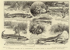 A Curious Story of a Crocodile, a leaf from a Traveller's Note-Book (litho)