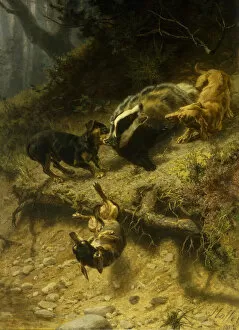 Images Dated 1st June 2011: Dachshunds on a Badger, 1882 (oil on canvas)