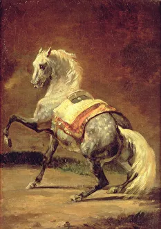 Dappled Grey Horse (oil on paper laid on canvas) Dappled Grey Horse (oil on paper laid on canvas)