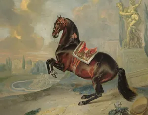 The dark bay horse Valido performing a Levade movement The dark bay horse Valido performing a Levade movement