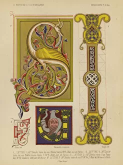 Decorated initials from medieval manuscripts (chromolitho)