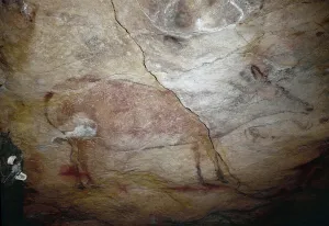 A deer. Upper Paleolithic (Magdalenian) (rock painting) A deer. Upper Paleolithic (Magdalenian) (rock painting)