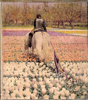 Defeated A shot rider crosses a tulip field after defeat. Painting by George Hitchcock (1850-1913) (ec. am.) 1898 Sun Defeated A shot rider crosses a tulip field after defeat. Painting by George Hitchcock (1850-1913) (ec. am.) 1898 Sun